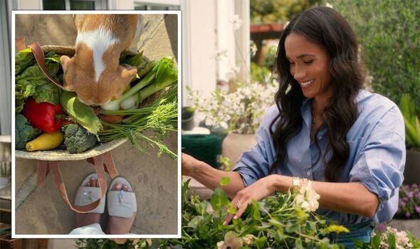 Meghan khoe giỏ rau củ tươi ngon mới thu hoạch từ vườn nhà, fan tinh mắt nhận ra ngay điều bất thường- Ảnh 2. Meghan khoe giỏ rau củ tươi ngon mới thu hoạch từ vườn nhà, fan tinh mắt nhận ra ngay điều bất thường- Ảnh 2.