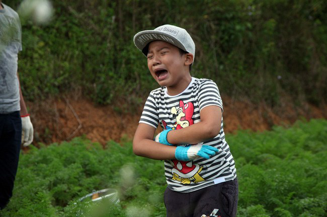 Từ cậu bé mít ướt trong "Bố ơi, mình đi đâu thế?" đến học bá tuổi 18: Hành trình trưởng thành đầy cảm hứng của con trai Hoàng Bách- Ảnh 3. Từ cậu bé mít ướt trong "Bố ơi, mình đi đâu thế?" đến học bá tuổi 18: Hành trình trưởng thành đầy cảm hứng của con trai Hoàng Bách- Ảnh 3.