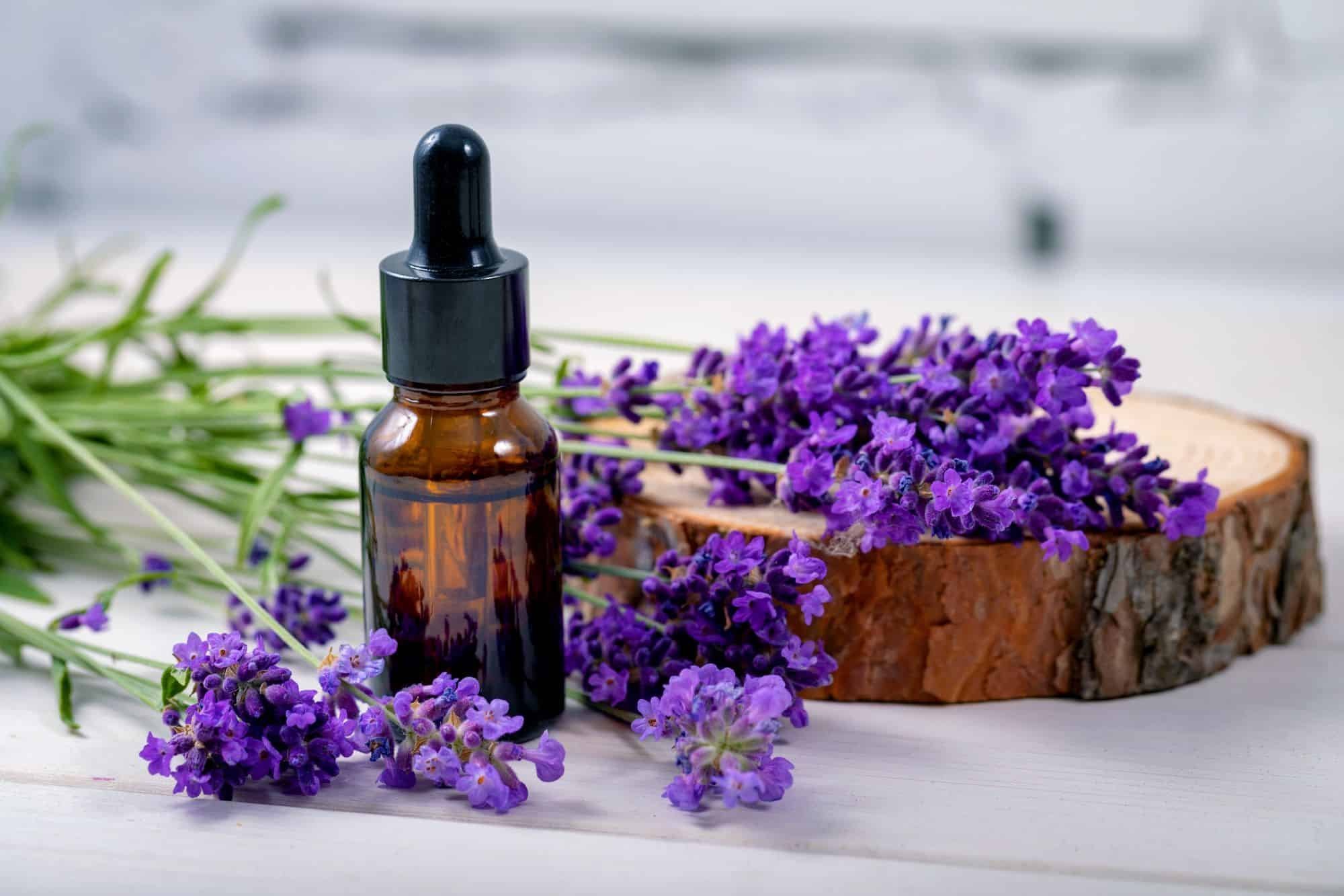 lavender-oil-17463342617181095173290-1746348565759-17463485658361578100294.jpeg