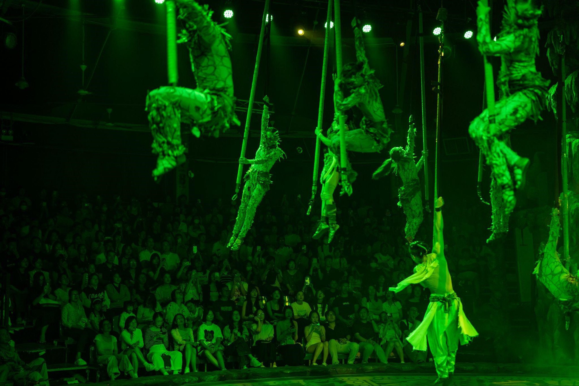 Xiếc Việt gây bão dịp lễ: Săn vé khó hơn concert, sân khấu xứng đáng 100 điểm còn diễn viên thì đẹp miễn chê- Ảnh 13. Xiếc Việt gây bão dịp lễ: Săn vé khó hơn concert, sân khấu xứng đáng 100 điểm còn diễn viên thì đẹp miễn chê- Ảnh 13.