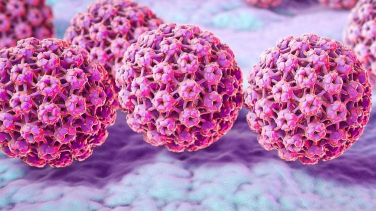 hpv-30471685023945568569067-1746514040765-17465140458881479143946.jpg
