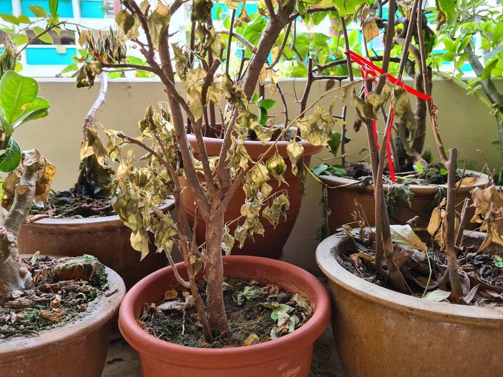 Vì sao ông bà dặn: Vì sao ông bà dặn: