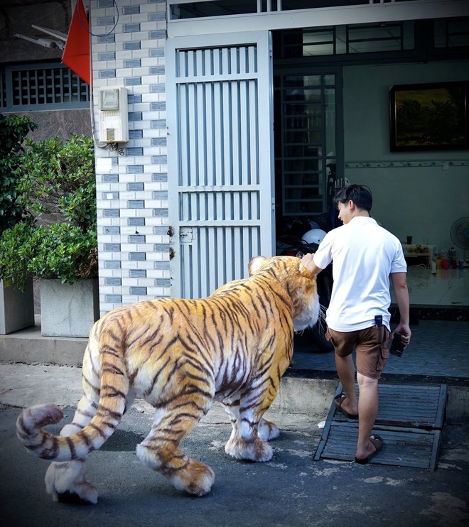 Cứ ngỡ sản phẩm của AI nhưng hình ảnh "em bé cưỡi hổ" trong xóm nhỏ TP.HCM là ảnh thật: Câu chuyện phía sau mới thú vị! - Ảnh 3. Cứ ngỡ sản phẩm của AI nhưng hình ảnh "em bé cưỡi hổ" trong xóm nhỏ TP.HCM là ảnh thật: Câu chuyện phía sau mới thú vị! - Ảnh 3.