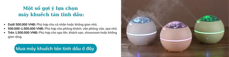 tinh-dau-2-1746441026857942183655-1746540433712-174654043384657649920-1746584135096-17465841351542048719204.jpg