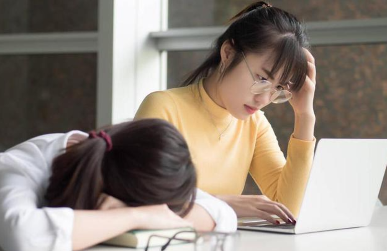 Cày đầu học để lấy bằng giỏi, nhiều sinh viên vỡ mộng không xin được việc - Ảnh 1. Cày đầu học để lấy bằng giỏi, nhiều sinh viên vỡ mộng không xin được việc - Ảnh 1.