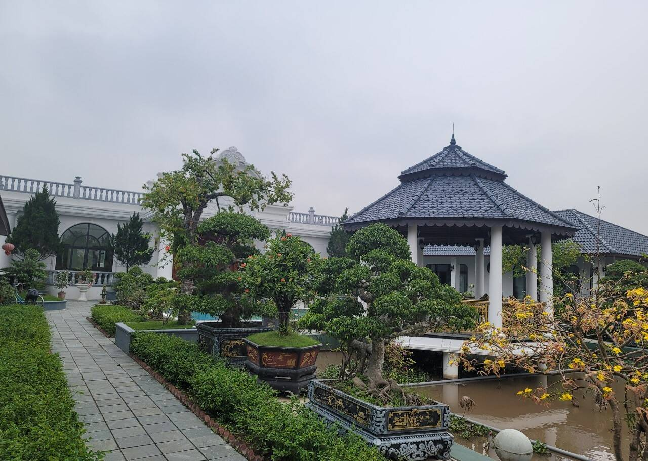 biet-thu-nha-vuon-o-thanh-hoa-07-1670906087-17466717018851630998264.png