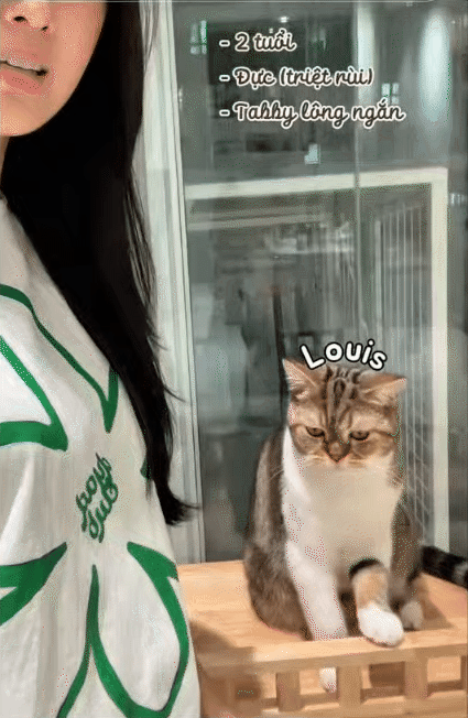 chrome-capture-2025-5-8-18-1746691755883660082697.gif