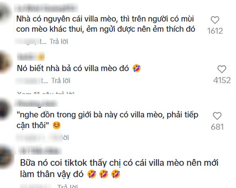 Ái nữ nhà quan trong "Thám tử Kiên": Ngoài đời nổi tiếng mê mèo, xây cả "villa" cho mèo cưng trong nhà - Ảnh 3.
