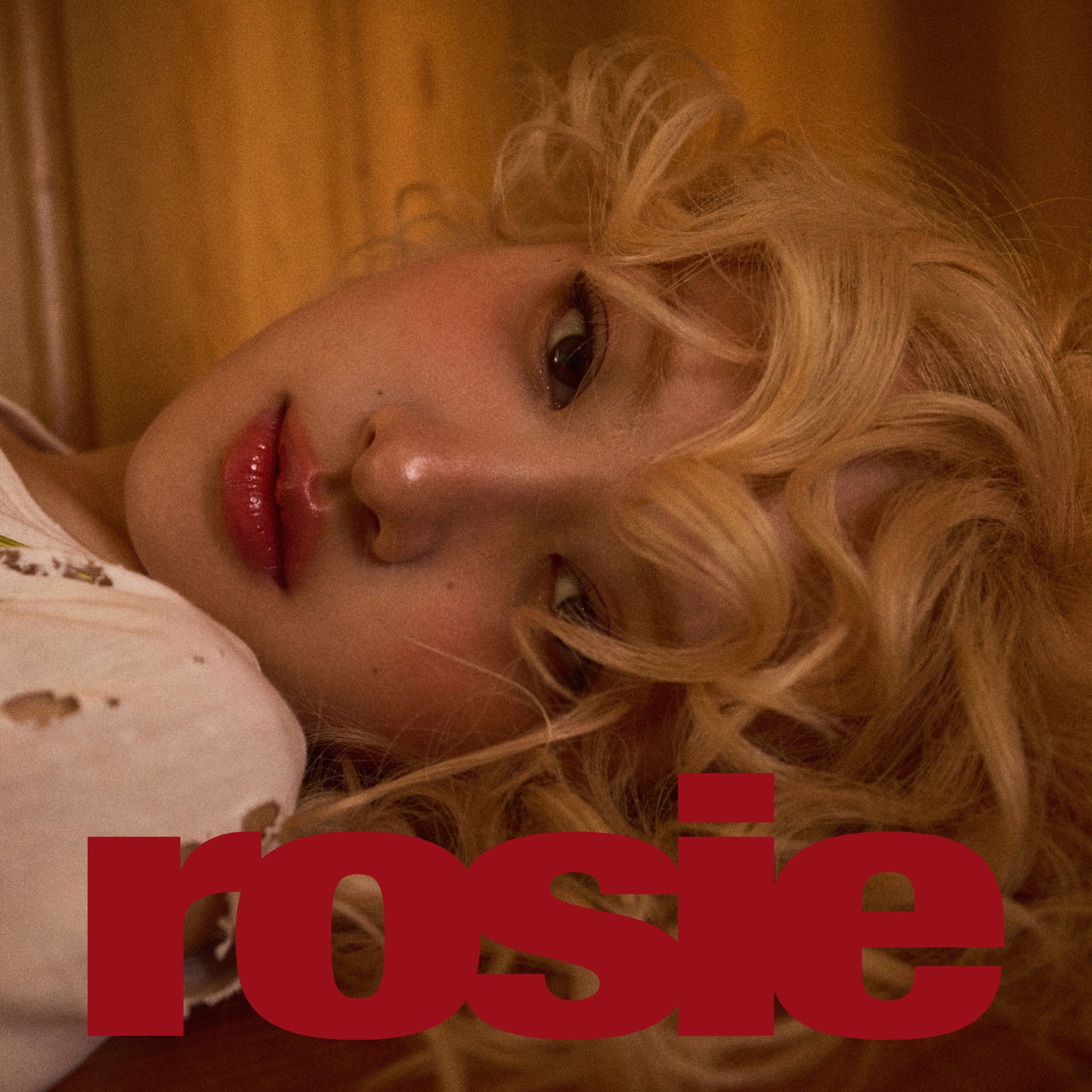 rose-1st-full-album-rosie-concept-photo-documents-1-17466059106411272879920-1746679706314-17466797064671567140985.jpeg