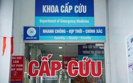 cap-cuu-bv-thong-nhat-17467877275261575353280-32-0-960-1484-crop-17467879070631364293846-1746800350835578107583-0-0-171-273-crop-17468003568561896152297.jpg