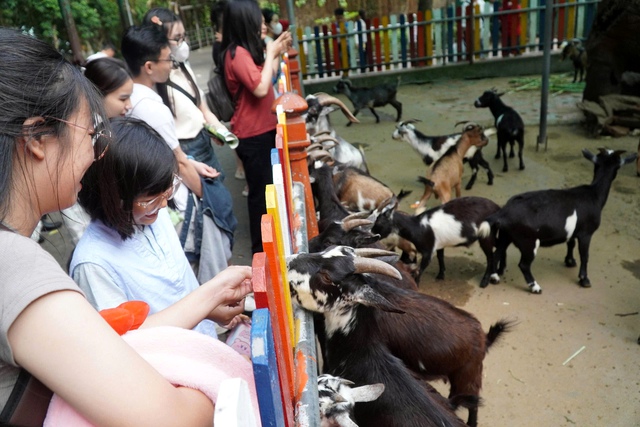“Khối nghỉ hè” ùa vào Thảo Cầm Viên, cảnh tượng đông khó tin trong ngày 1/6 ở TP.HCM - Ảnh 6. “Khối nghỉ hè” ùa vào Thảo Cầm Viên, cảnh tượng đông khó tin trong ngày 1/6 ở TP.HCM - Ảnh 6.