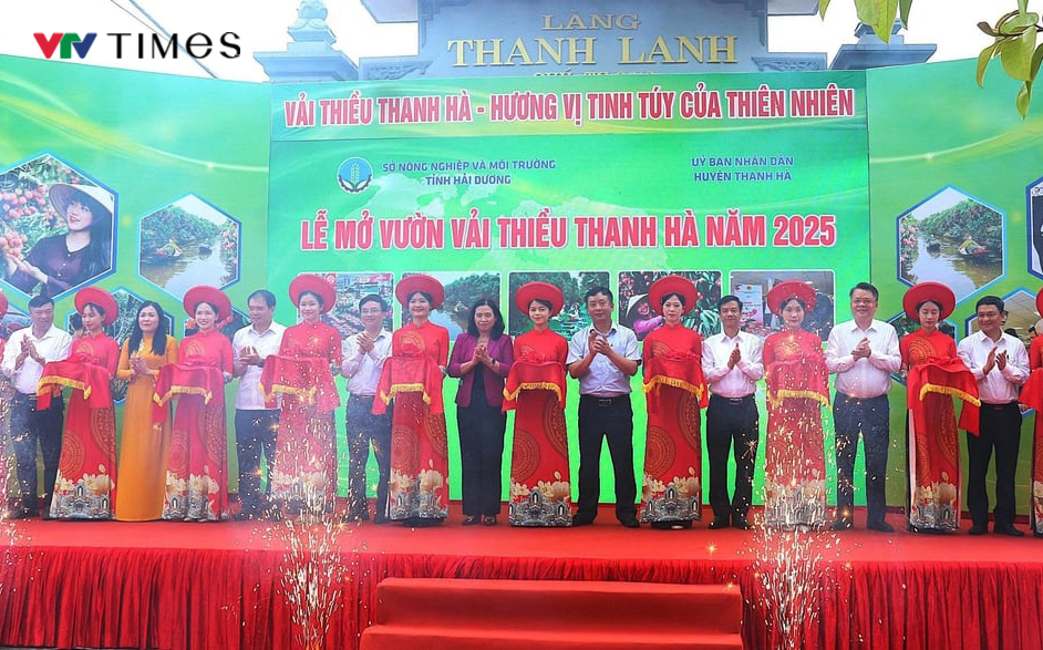 Hải Dương mở cửa vườn, xuất khẩu lô vải đầu tiên năm 2025 - Ảnh 1. Hải Dương mở cửa vườn, xuất khẩu lô vải đầu tiên năm 2025 - Ảnh 1.
