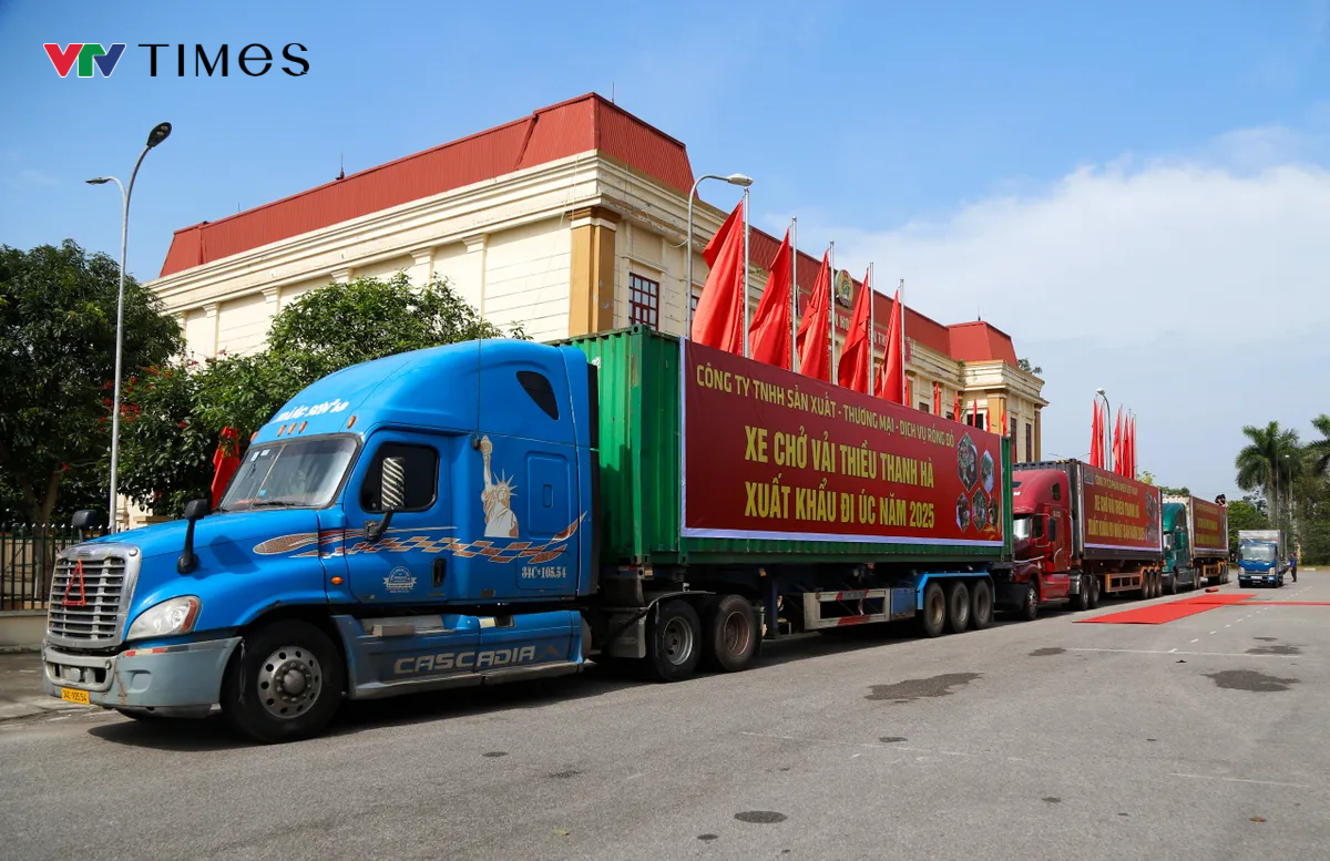 Hải Dương mở cửa vườn, xuất khẩu lô vải đầu tiên năm 2025 - Ảnh 2. Hải Dương mở cửa vườn, xuất khẩu lô vải đầu tiên năm 2025 - Ảnh 2.