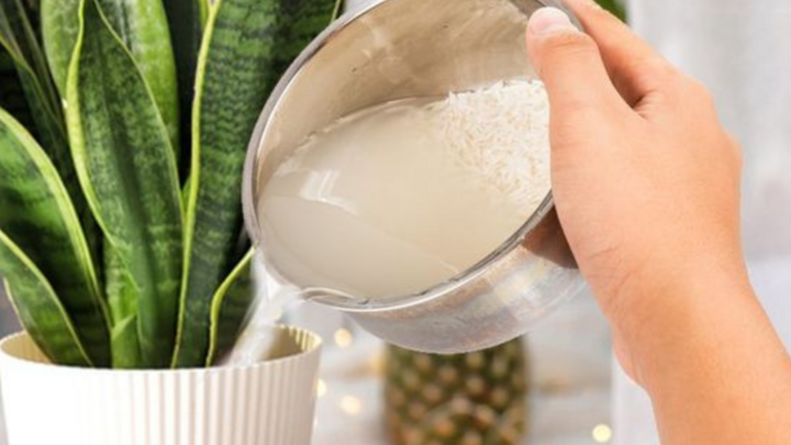 Đây mới là “đỉnh cao tối giản”: Người phụ nữ 57 tuổi khiến cả mạng xã hội ngả mũ - Ảnh 2. Đây mới là “đỉnh cao tối giản”: Người phụ nữ 57 tuổi khiến cả mạng xã hội ngả mũ - Ảnh 2.