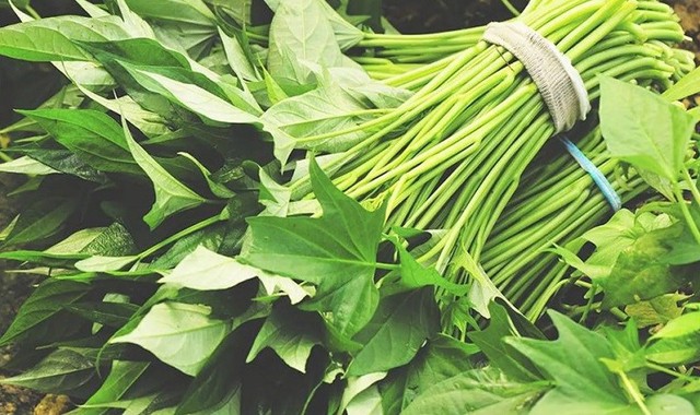 &quot;Rau trường thọ&quot; giá rẻ ở Việt Nam nhưng sang nước ngoài lên tới 600.000đ/bó: Xào hay luộc đều ngon - Ảnh 2.