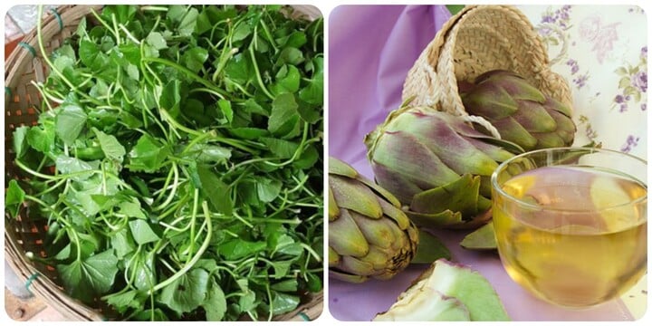 6 loại rau củ hỗ trợ thải độc, hạ men gan - Ảnh 2. 6 loại rau củ hỗ trợ thải độc, hạ men gan - Ảnh 2.