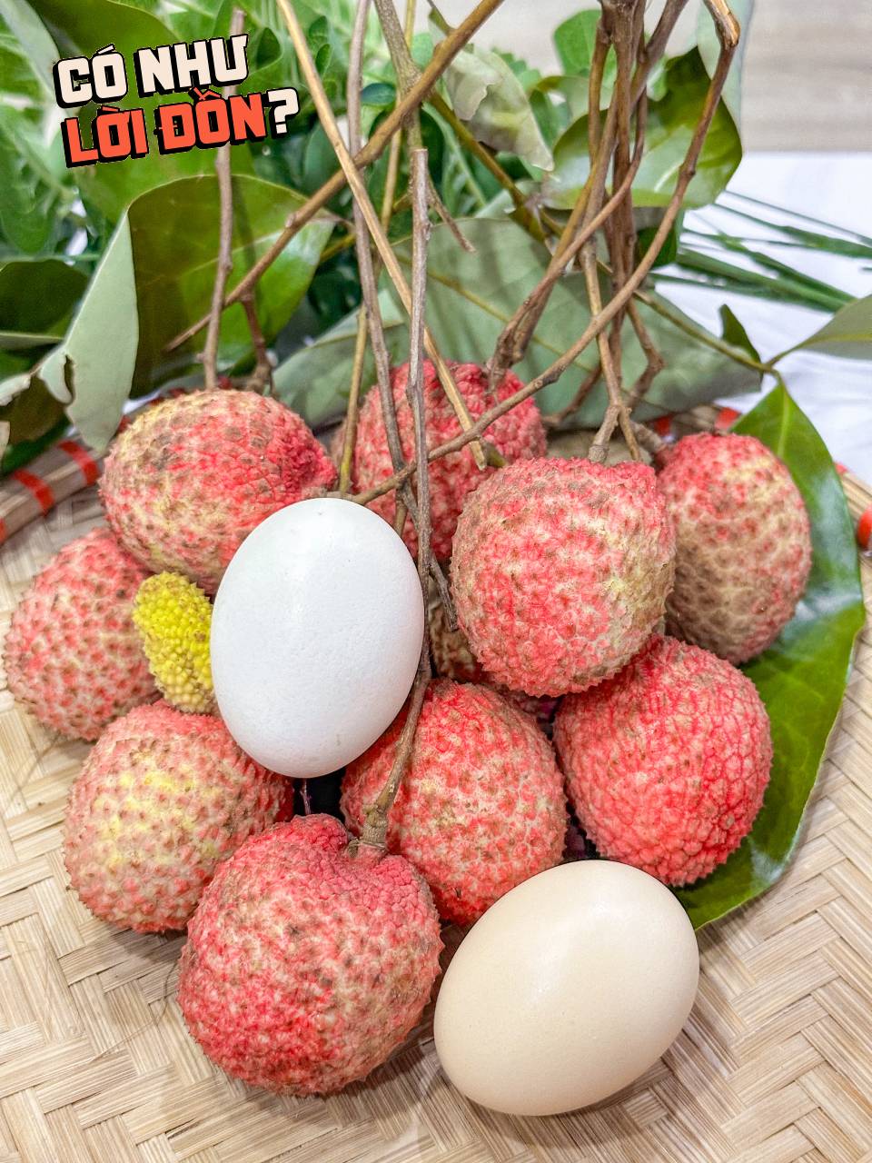 Bỏ 1,2 triệu để mua 5kg vải trứng: Kích thước Bỏ 1,2 triệu để mua 5kg vải trứng: Kích thước