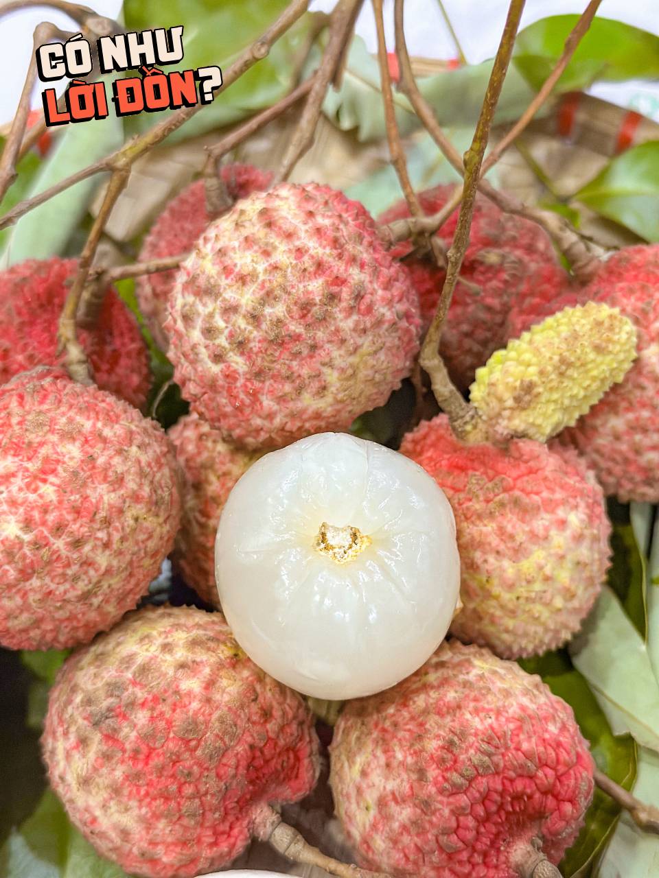 Bỏ 1,2 triệu để mua 5kg vải trứng: Kích thước Bỏ 1,2 triệu để mua 5kg vải trứng: Kích thước