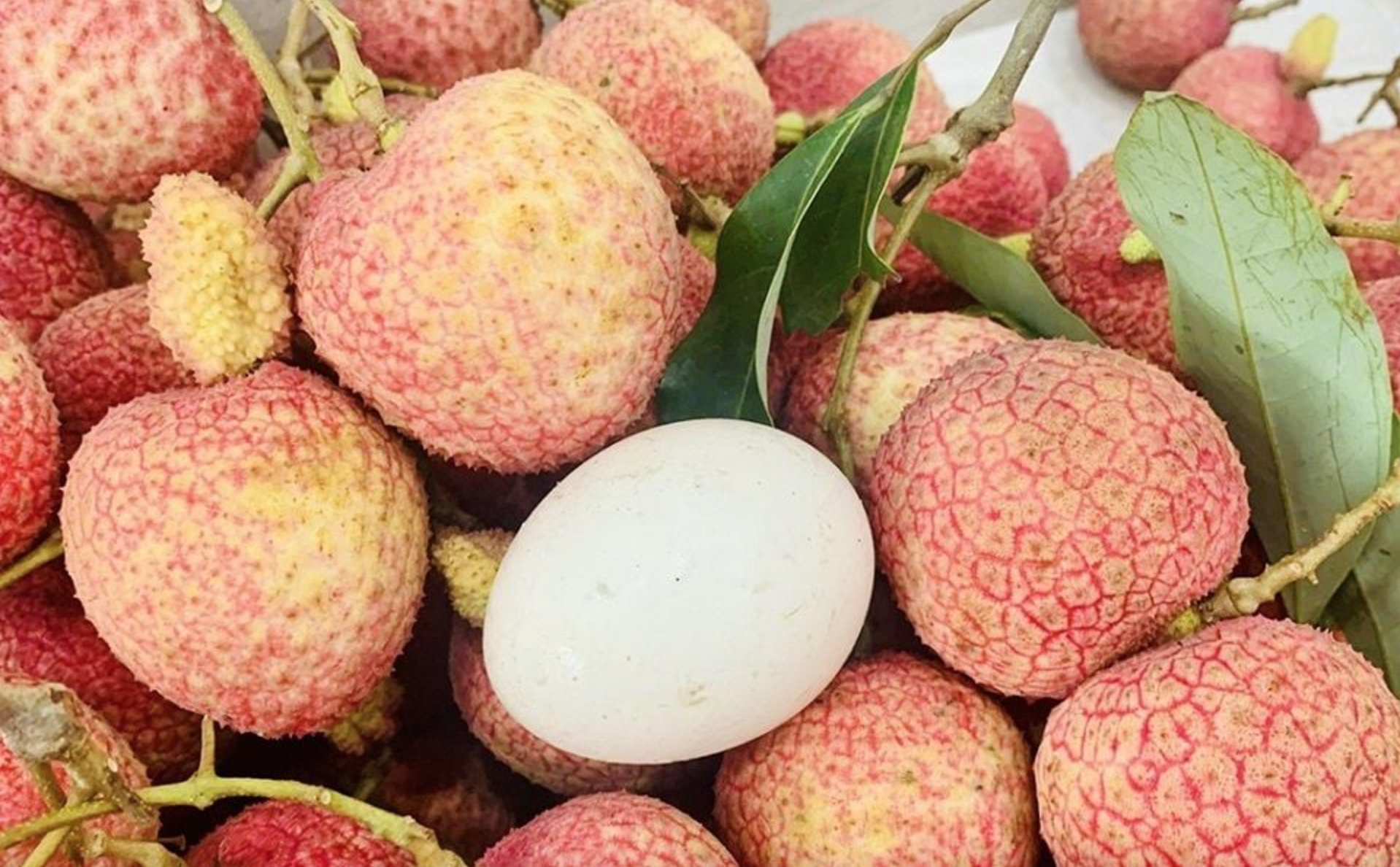 Bỏ 1,2 triệu để mua 5kg vải trứng: Kích thước Bỏ 1,2 triệu để mua 5kg vải trứng: Kích thước