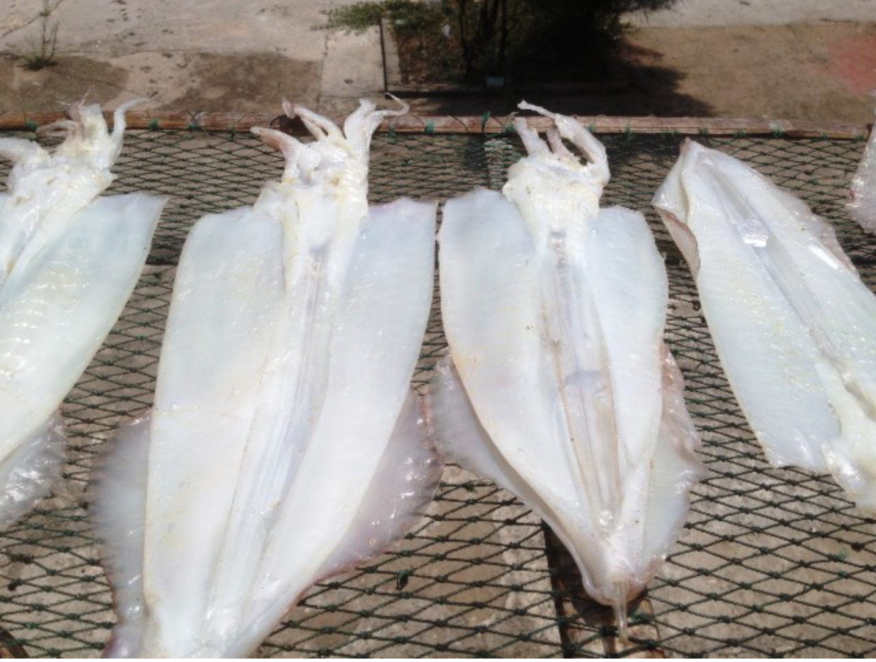 2 món mực Việt Nam lọt top 2 món mực Việt Nam lọt top