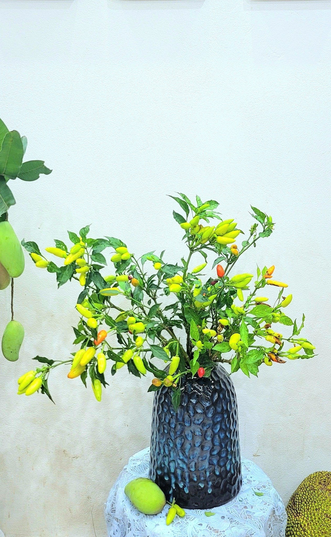 Mê mẩn những cành quả cắm bình độc đáo của cô giáo Phú Thọ - Ảnh 19. Mê mẩn những cành quả cắm bình độc đáo của cô giáo Phú Thọ - Ảnh 19.