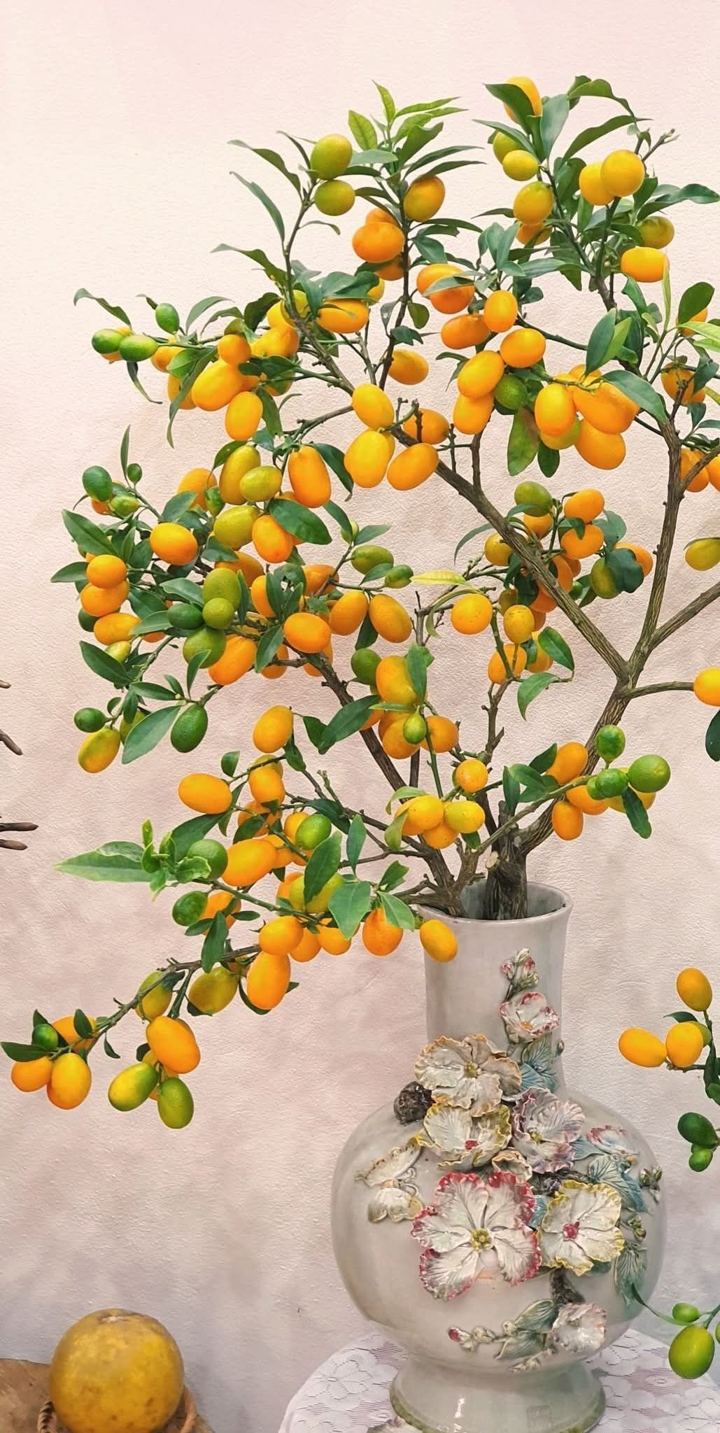 Mê mẩn những cành quả cắm bình độc đáo của cô giáo Phú Thọ - Ảnh 33. Mê mẩn những cành quả cắm bình độc đáo của cô giáo Phú Thọ - Ảnh 33.