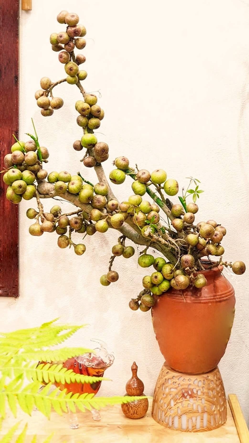 Mê mẩn những cành quả cắm bình độc đáo của cô giáo Phú Thọ - Ảnh 30. Mê mẩn những cành quả cắm bình độc đáo của cô giáo Phú Thọ - Ảnh 30.
