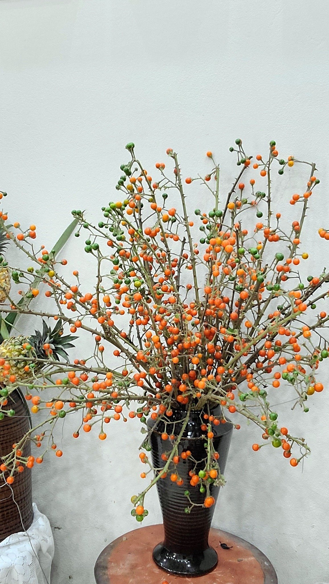 Mê mẩn những cành quả cắm bình độc đáo của cô giáo Phú Thọ - Ảnh 22. Mê mẩn những cành quả cắm bình độc đáo của cô giáo Phú Thọ - Ảnh 22.