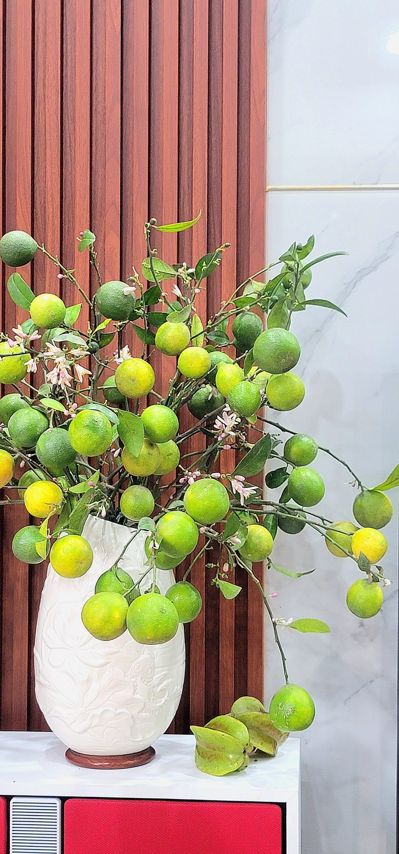 Mê mẩn những cành quả cắm bình độc đáo của cô giáo Phú Thọ - Ảnh 24. Mê mẩn những cành quả cắm bình độc đáo của cô giáo Phú Thọ - Ảnh 24.