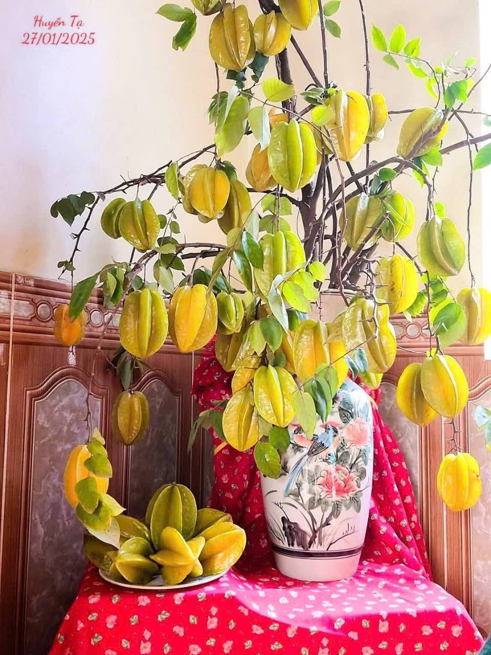 Mê mẩn những cành quả cắm bình độc đáo của cô giáo Phú Thọ - Ảnh 29. Mê mẩn những cành quả cắm bình độc đáo của cô giáo Phú Thọ - Ảnh 29.