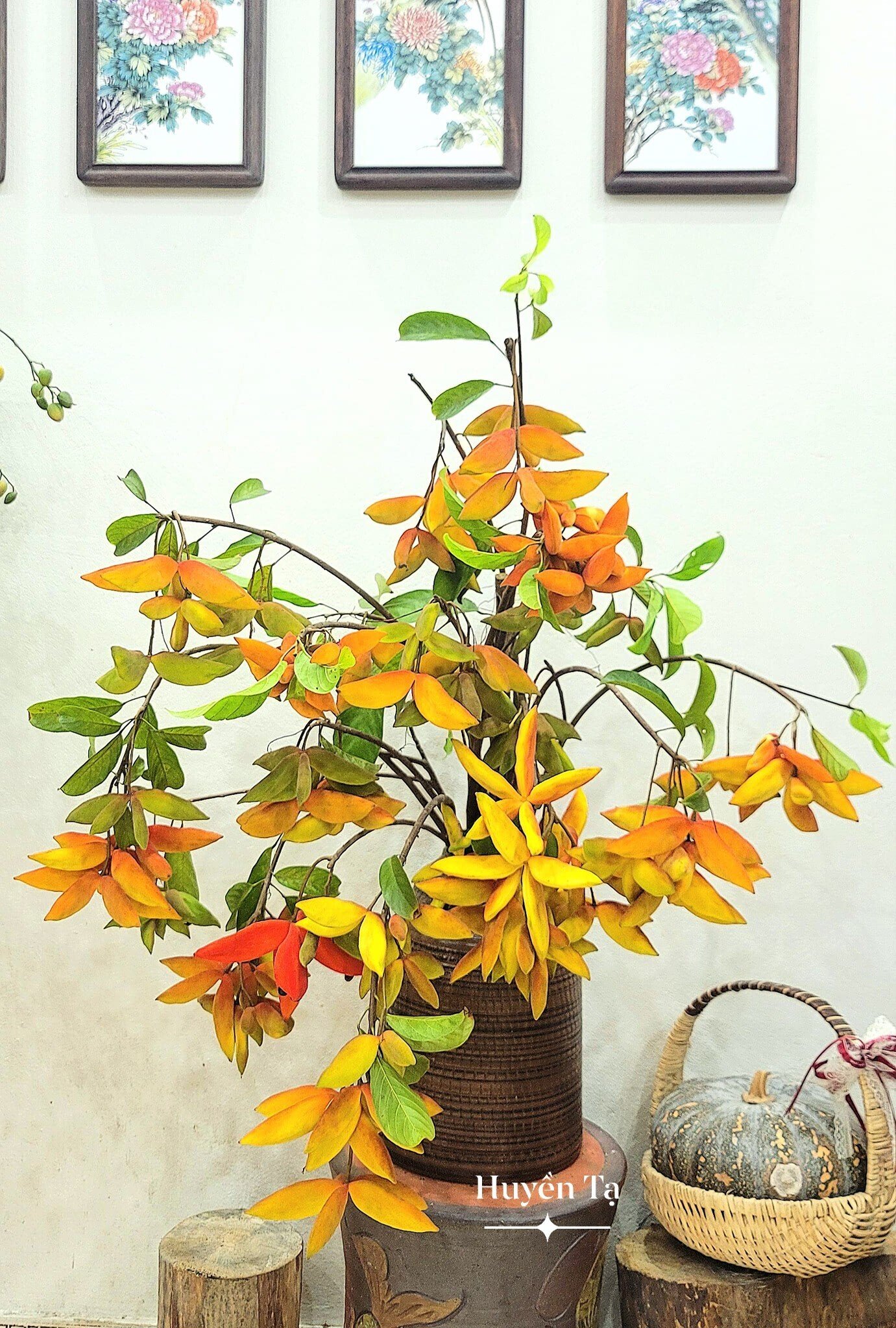 Mê mẩn những cành quả cắm bình độc đáo của cô giáo Phú Thọ - Ảnh 12. Mê mẩn những cành quả cắm bình độc đáo của cô giáo Phú Thọ - Ảnh 12.