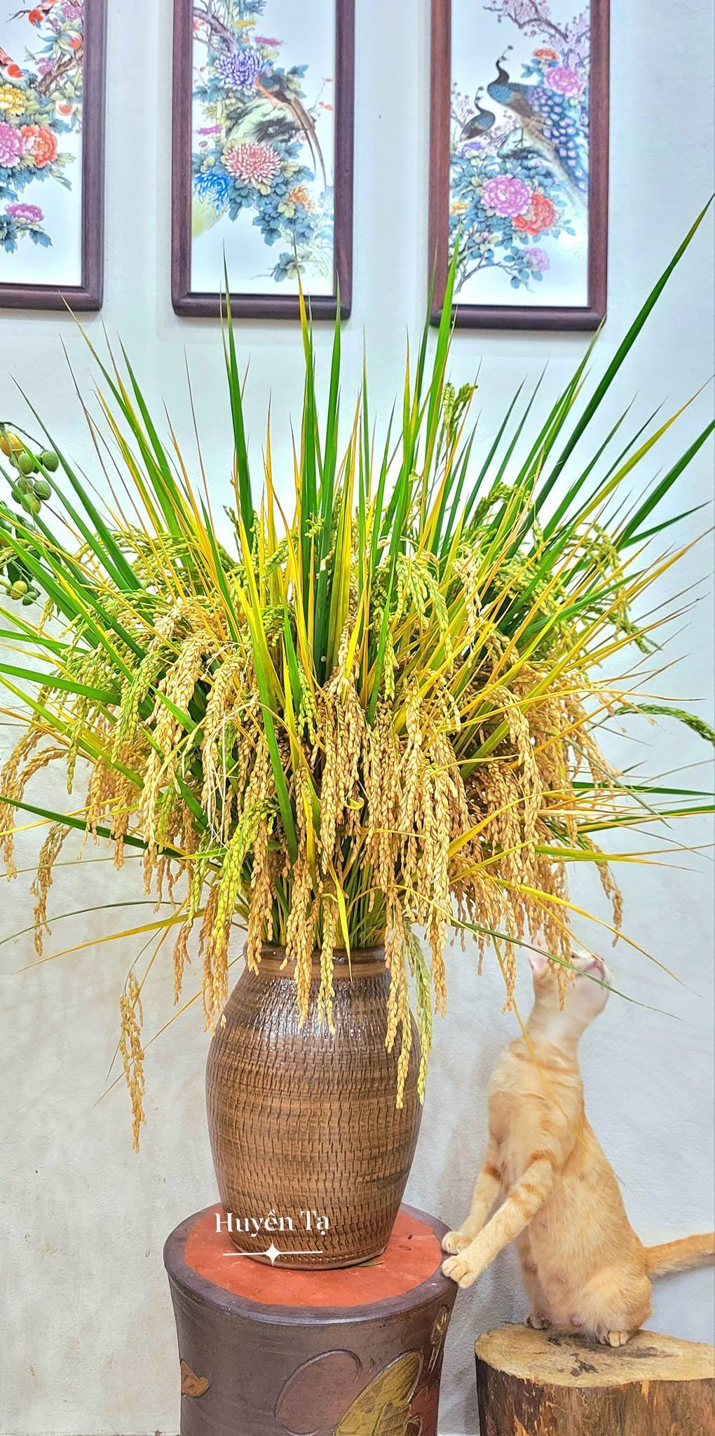 Mê mẩn những cành quả cắm bình độc đáo của cô giáo Phú Thọ - Ảnh 11. Mê mẩn những cành quả cắm bình độc đáo của cô giáo Phú Thọ - Ảnh 11.