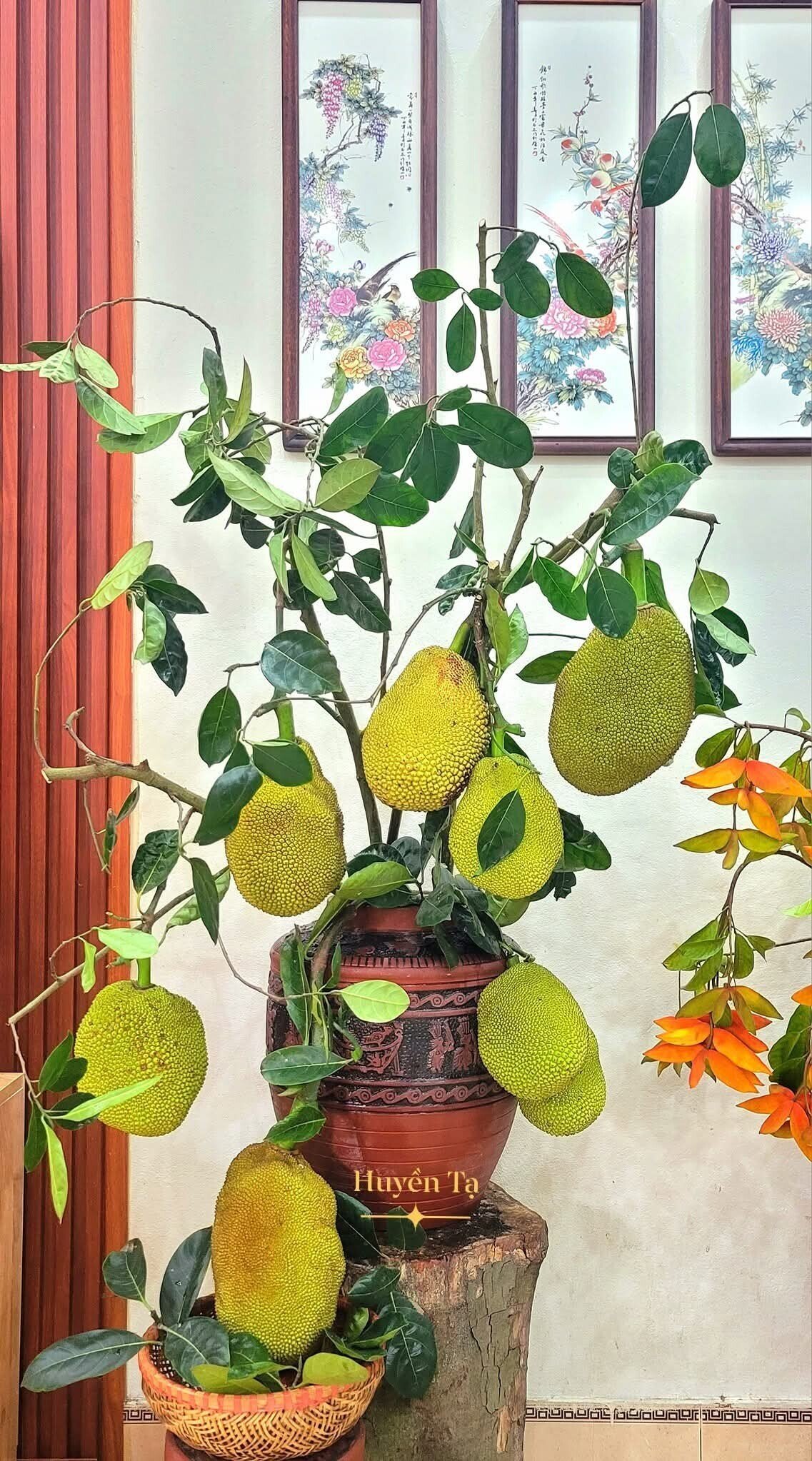 Mê mẩn những cành quả cắm bình độc đáo của cô giáo Phú Thọ - Ảnh 2. Mê mẩn những cành quả cắm bình độc đáo của cô giáo Phú Thọ - Ảnh 2.