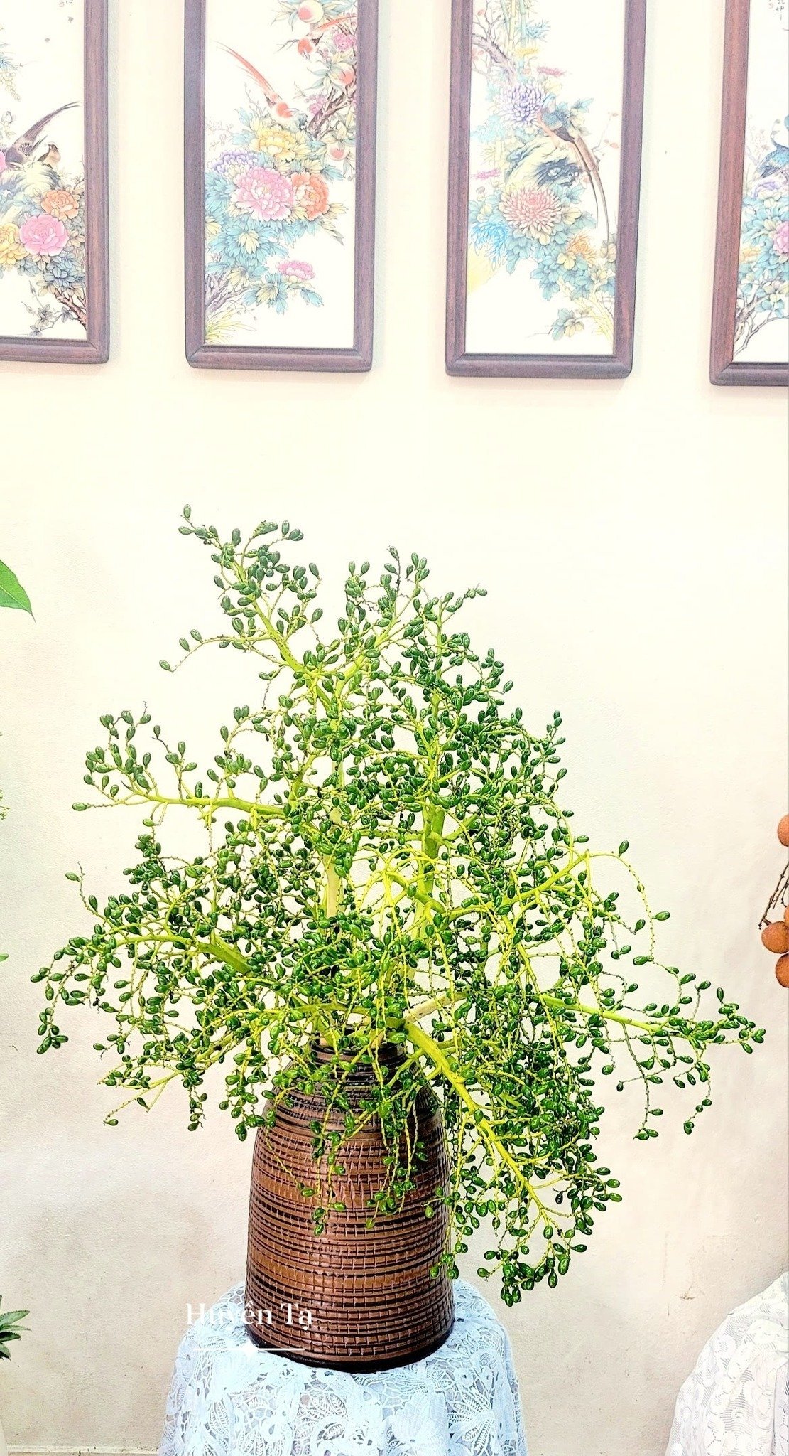 Mê mẩn những cành quả cắm bình độc đáo của cô giáo Phú Thọ - Ảnh 17. Mê mẩn những cành quả cắm bình độc đáo của cô giáo Phú Thọ - Ảnh 17.