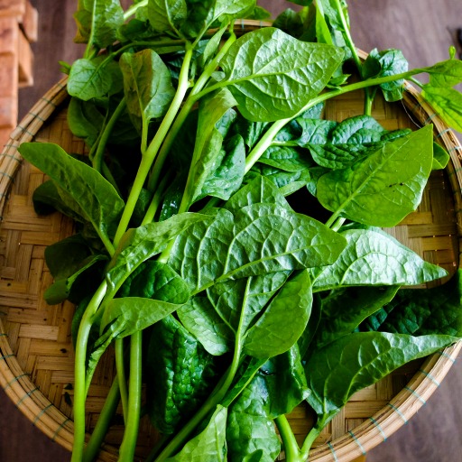 Rau dại một thời giờ là Rau dại một thời giờ là