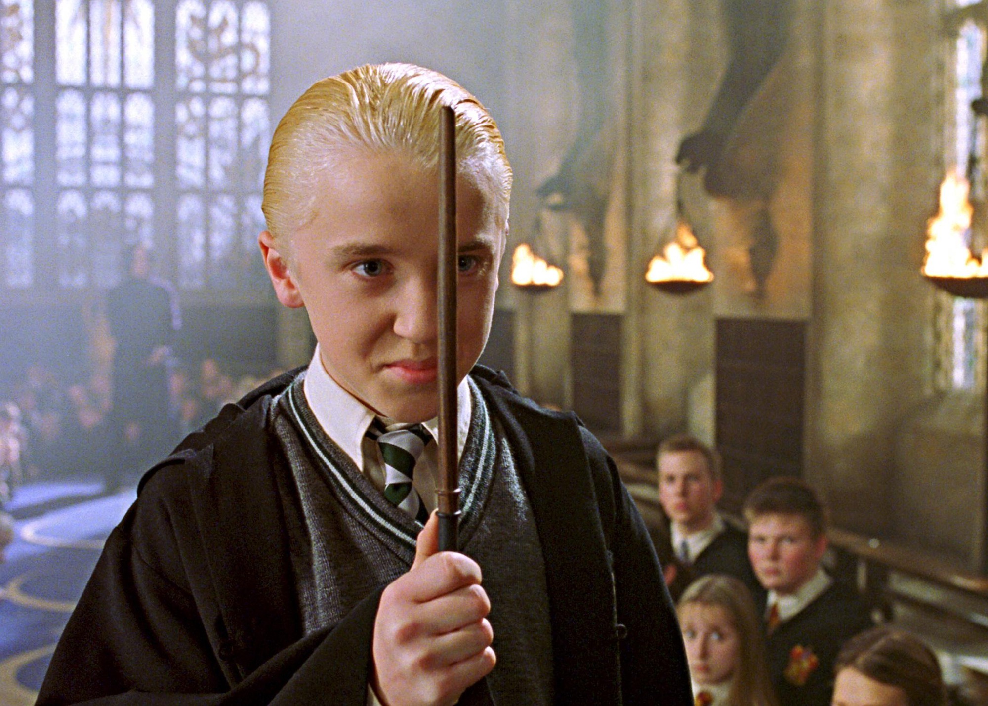 tom-in-chamber-of-secrets-1749718470146-1749718470219489861105.jpg