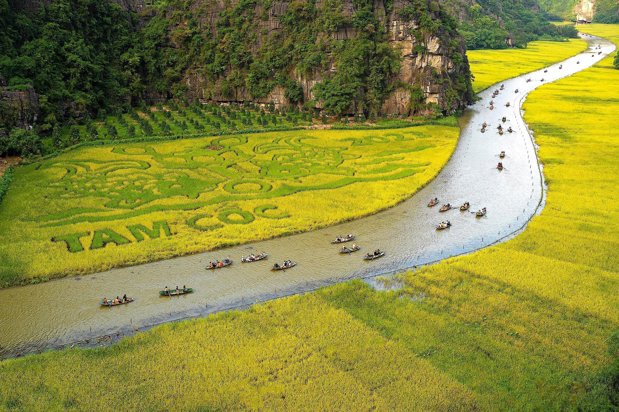 Không chỉ có Tràng An - Bái Đính hay Tuyệt Tình Cốc, người ta đến rồi quay lại Ninh Bình còn vì những món ăn dân dã đậm chất cố đô này!- Ảnh 19. Không chỉ có Tràng An - Bái Đính hay Tuyệt Tình Cốc, người ta đến rồi quay lại Ninh Bình còn vì những món ăn dân dã đậm chất cố đô này!- Ảnh 19.