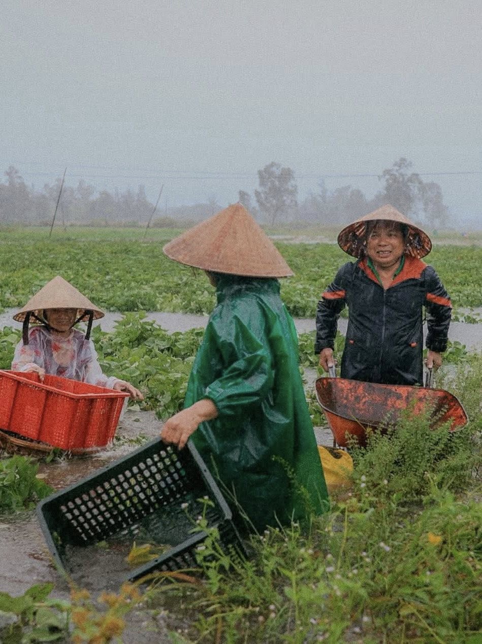 Bão số 1 gây mưa kỷ lục ở Quảng Nam, Quảng Trị, hàng ngàn người đi sơ tán - Ảnh 3. Bão số 1 gây mưa kỷ lục ở Quảng Nam, 16.700 ha lúa, hoa màu ngập nặng - Ảnh 3.