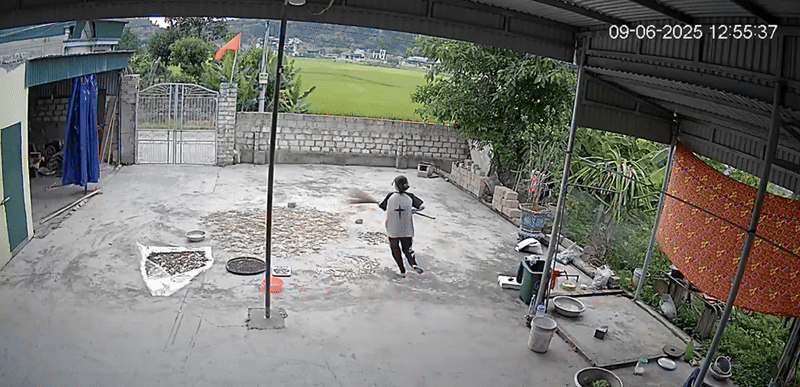 Đang ngồi trong nhà, nữ sinh bất ngờ chạy vụt ra sân khiến dân tình thót tim: Con nhà nông chắc hiểu dữ lắm!- Ảnh 2. Đang ngồi trong nhà, nữ sinh bất ngờ chạy vụt ra sân khiến dân tình thót tim: Con nhà nông chắc hiểu dữ lắm!- Ảnh 2.