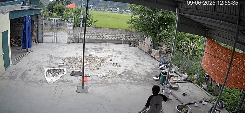Đang ngồi trong nhà, nữ sinh bất ngờ chạy vụt ra sân khiến dân tình thót tim: Con nhà nông chắc hiểu dữ lắm!- Ảnh 1. Đang ngồi trong nhà, nữ sinh bất ngờ chạy vụt ra sân khiến dân tình thót tim: Con nhà nông chắc hiểu dữ lắm!- Ảnh 1.