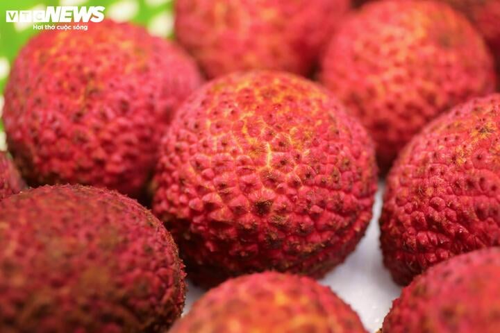 Vải không hạt Trung Quốc đổ bộ chợ Việt, giá gần 1 triệu đồng/kg - Ảnh 2. Vải không hạt Trung Quốc đổ bộ chợ Việt, giá gần 1 triệu đồng/kg - Ảnh 2.