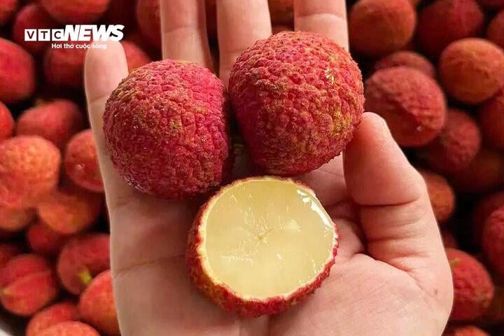 Vải không hạt Trung Quốc đổ bộ chợ Việt, giá gần 1 triệu đồng/kg - Ảnh 3. Vải không hạt Trung Quốc đổ bộ chợ Việt, giá gần 1 triệu đồng/kg - Ảnh 3.