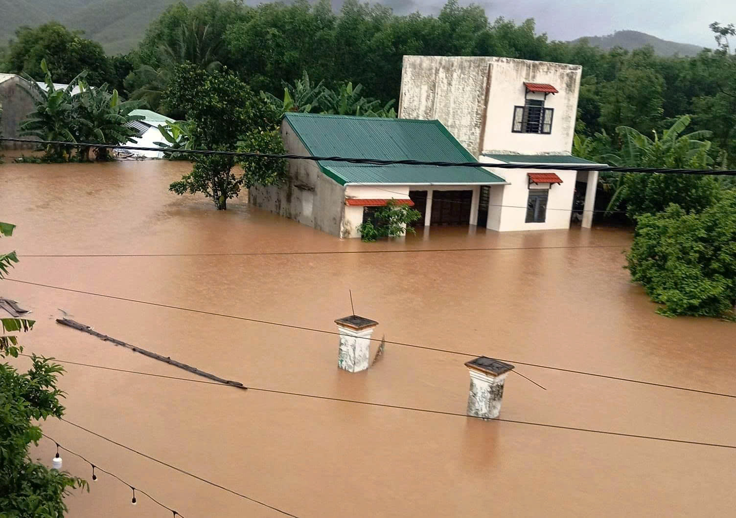 Bão số 1 gây mưa kỷ lục ở Quảng Nam, Quảng Trị, hàng ngàn người đi sơ tán - Ảnh 7. Bão số 1 gây mưa kỷ lục ở Quảng Nam, 16.700 ha lúa, hoa màu ngập nặng - Ảnh 7.