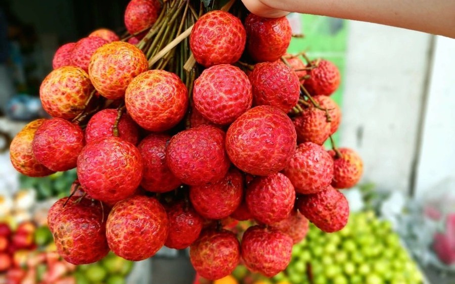 Vải mua về đừng vội cất tủ lạnh: Làm cách này tươi lâu hơn, để cả tháng vẫn ngọt mọng Vải mua về đừng vội cất tủ lạnh: Làm cách này tươi lâu hơn, để cả tháng vẫn ngọt mọng