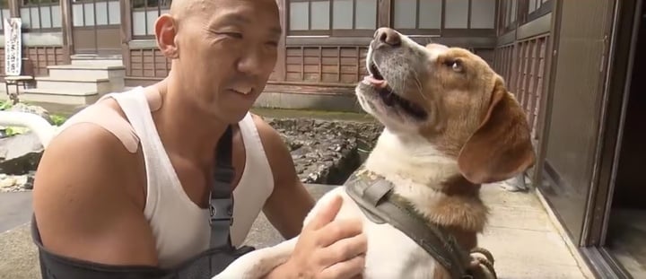 Nhà sư nhận nuôi chú chó bị bỏ rơi, sau đó được chó cứu mạng khi gặp gấu dữ - Ảnh 2. Nhà sư nhận nuôi chú chó bị bỏ rơi, sau đó được chó cứu mạng khi gặp gấu dữ - Ảnh 2.