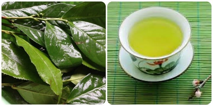 Những sai lầm khi uống nước chè xanh gây hại cho thận - Ảnh 1. Những sai lầm khi uống nước chè xanh gây hại cho thận - Ảnh 1.