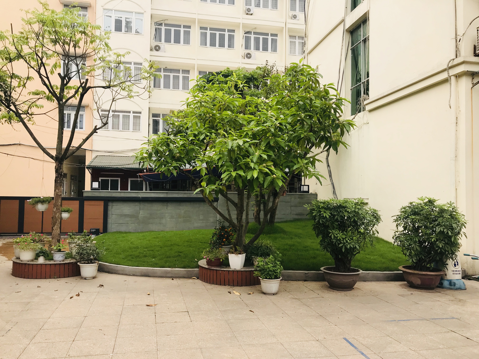 4 trường mầm non công lập siêu xinh của Quận Cầu Giấy, ngó cơ sở vật chất mà mê- Ảnh 15. 4 trường mầm non công lập siêu xinh của Quận Cầu Giấy, ngó cơ sở vật chất mà mê- Ảnh 15.