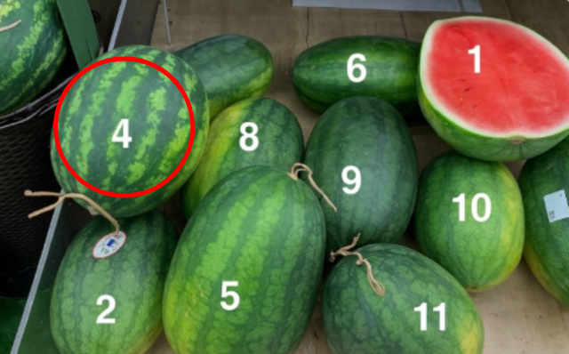 Trong 10 quả dưa hấu, đâu là quả ngọt, mọng nước nhất? Chat GPT đưa ra câu trả lời bất ngờ - Ảnh 2. Trong 10 quả dưa hấu, đâu là quả ngọt, mọng nước nhất? Chat GPT đưa ra câu trả lời bất ngờ - Ảnh 2.