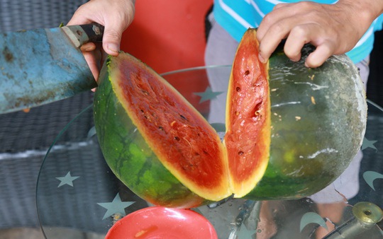 canh-bao-an-dua-hau-1750067346243574988425-0-0-338-540-crop-17500673486991296509981.jpg