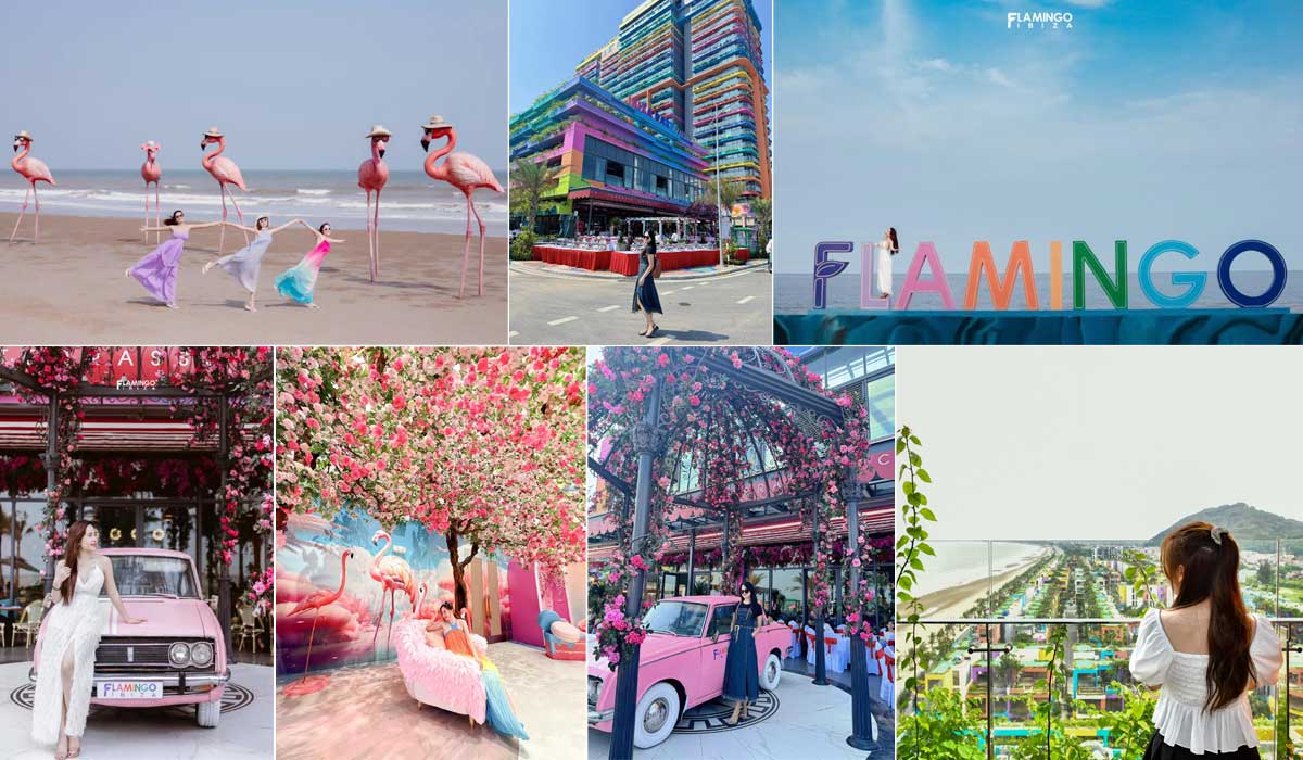 flamingo-15-1749950075660737333945-1749965244713-1749965245141464293152-1750039707692-1750039707793330129460.jpg